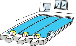 swimming pool.webp